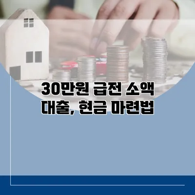 30만원 급전 소액 대출, 현금 마련법