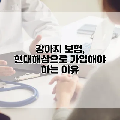 강아지 보험, 현대해상으로 가입해야 하는 이유