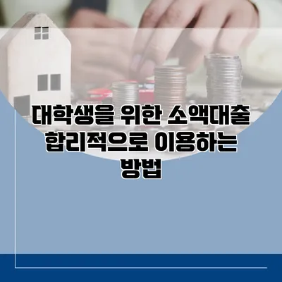 대학생을 위한 소액대출 합리적으로 이용하는 방법