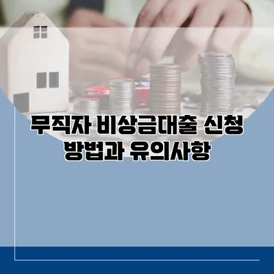 무직자 비상금대출 신청 방법과 유의사항