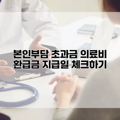 본인부담 초과금 의료비 환급금 지급일 체크하기