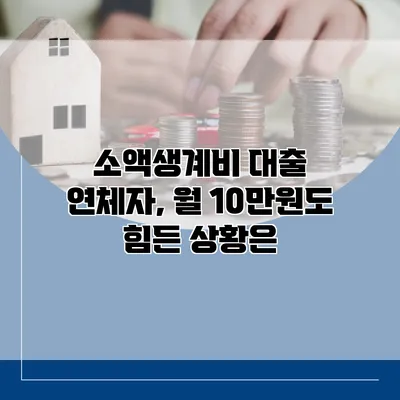 소액생계비 대출 연체자, 월 10만원도 힘든 상황은?