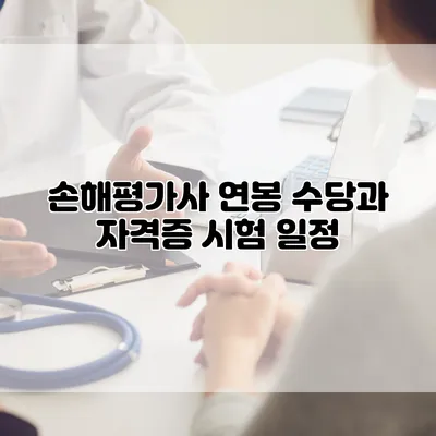 손해평가사 연봉 수당과 자격증 시험 일정