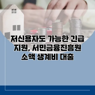 저신용자도 가능한 긴급 지원, 서민금융진흥원 소액 생계비 대출