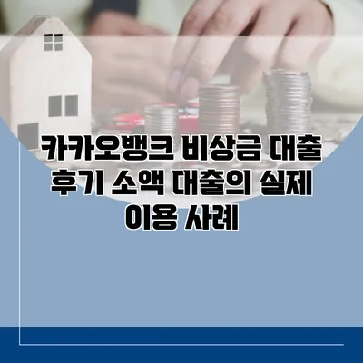 카카오뱅크 비상금 대출 후기 소액 대출의 실제 이용 사례