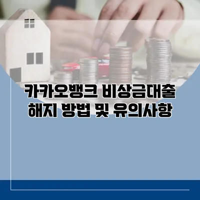 카카오뱅크 비상금대출 해지 방법 및 유의사항