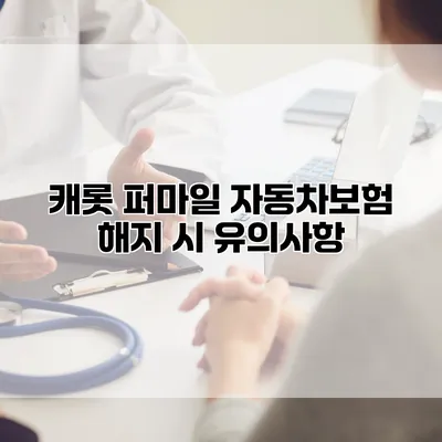 캐롯 퍼마일 자동차보험 해지 시 유의사항