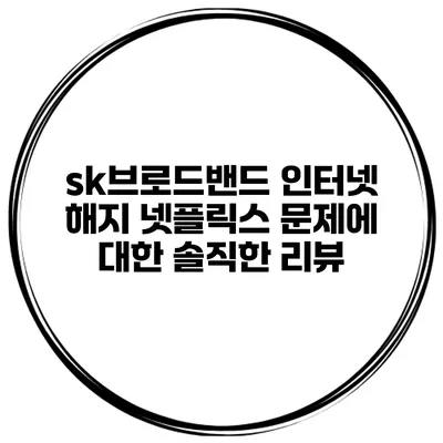 sk브로드밴드 인터넷 해지 넷플릭스 문제에 대한 솔직한 리뷰